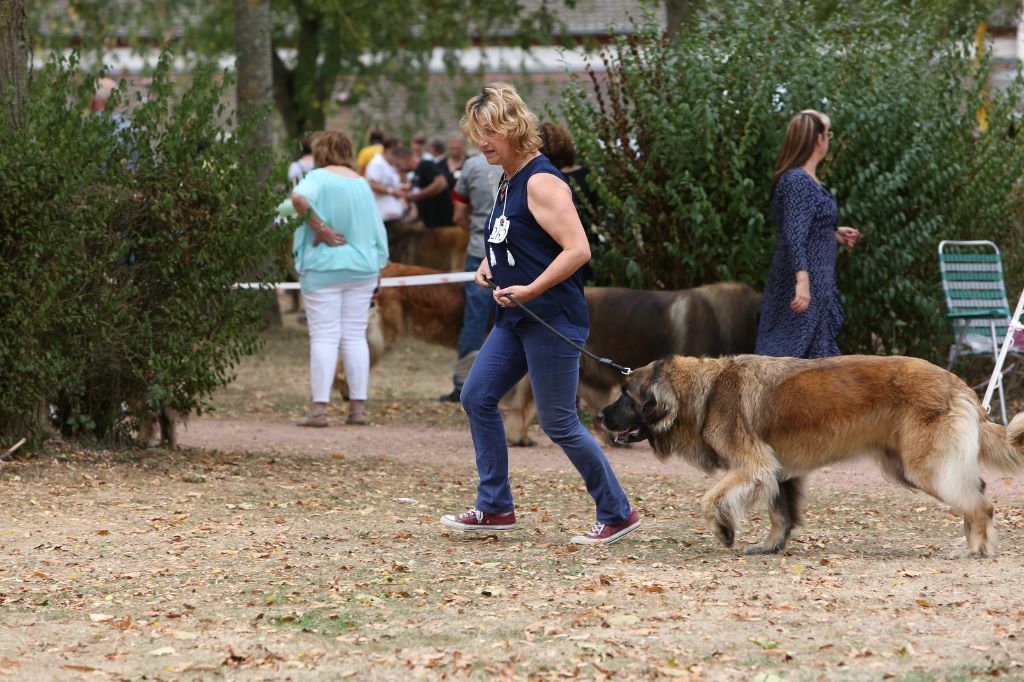 De la foret des amognes - CLUNY 2018