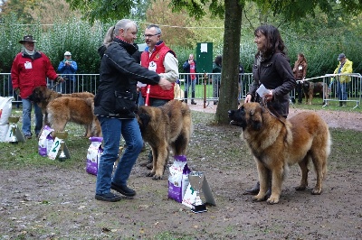 De la foret des amognes - CLUNY 2012